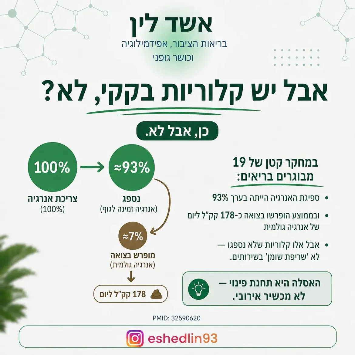 תמונה 11 מתוך 16