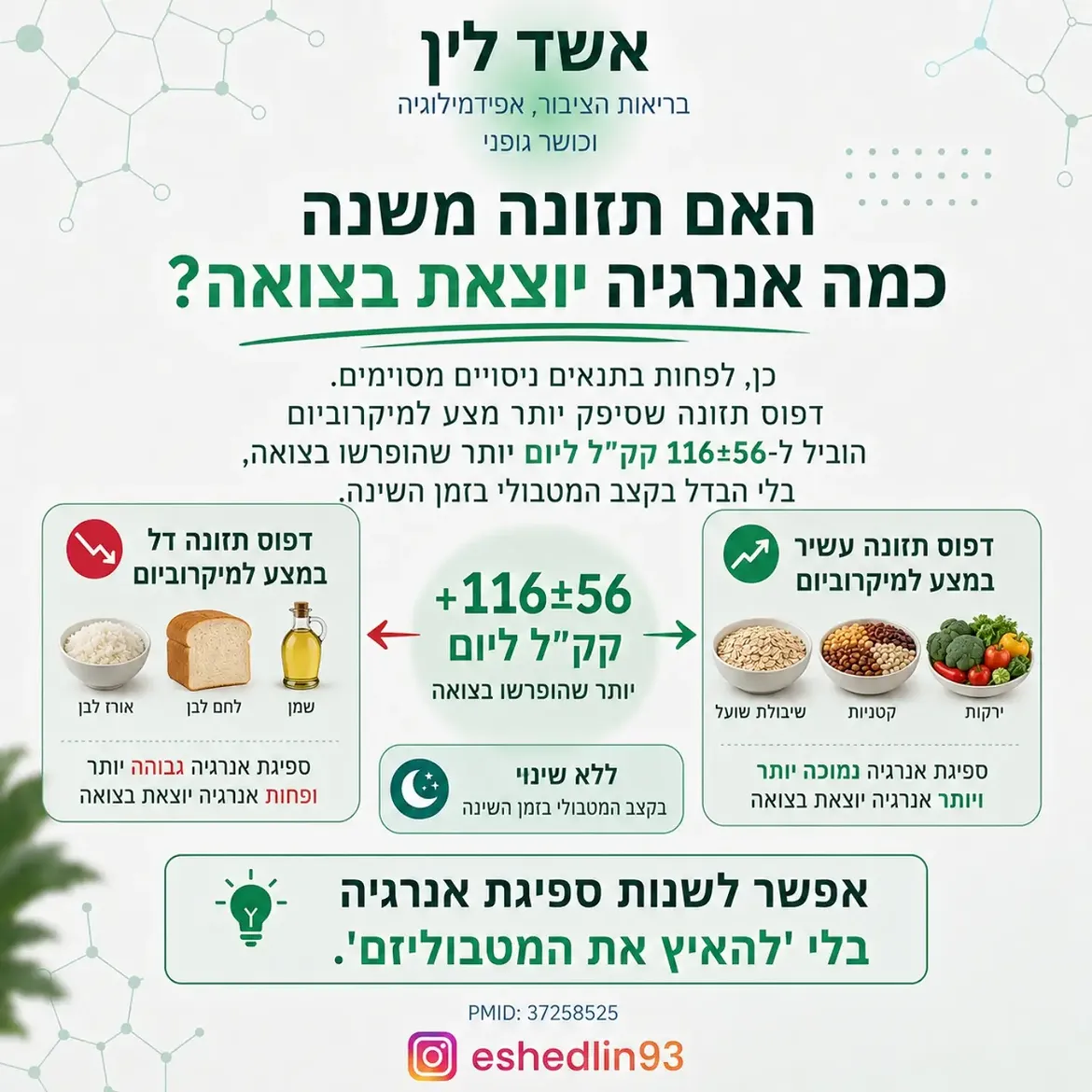 תמונה 12 מתוך 16
