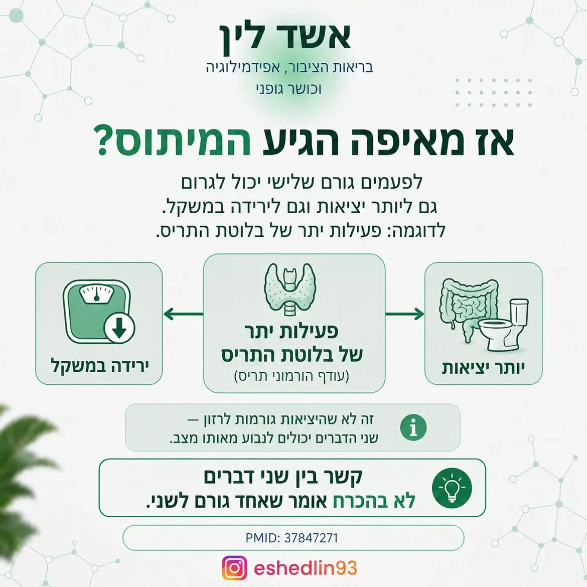 תמונה 13 מתוך 16