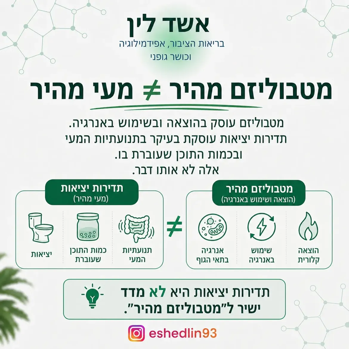תמונה 15 מתוך 16