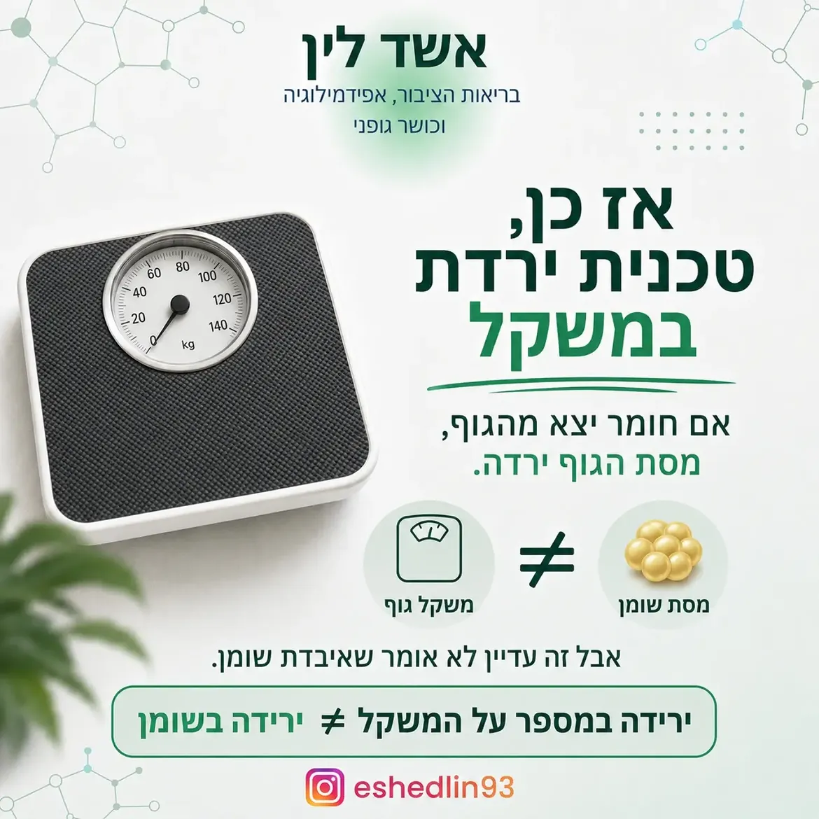 תמונה 3 מתוך 16