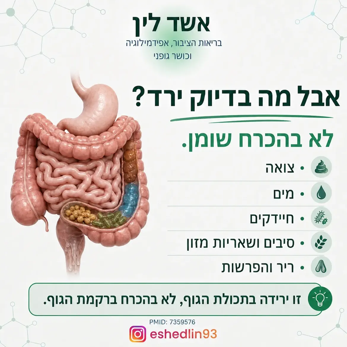 תמונה 4 מתוך 16