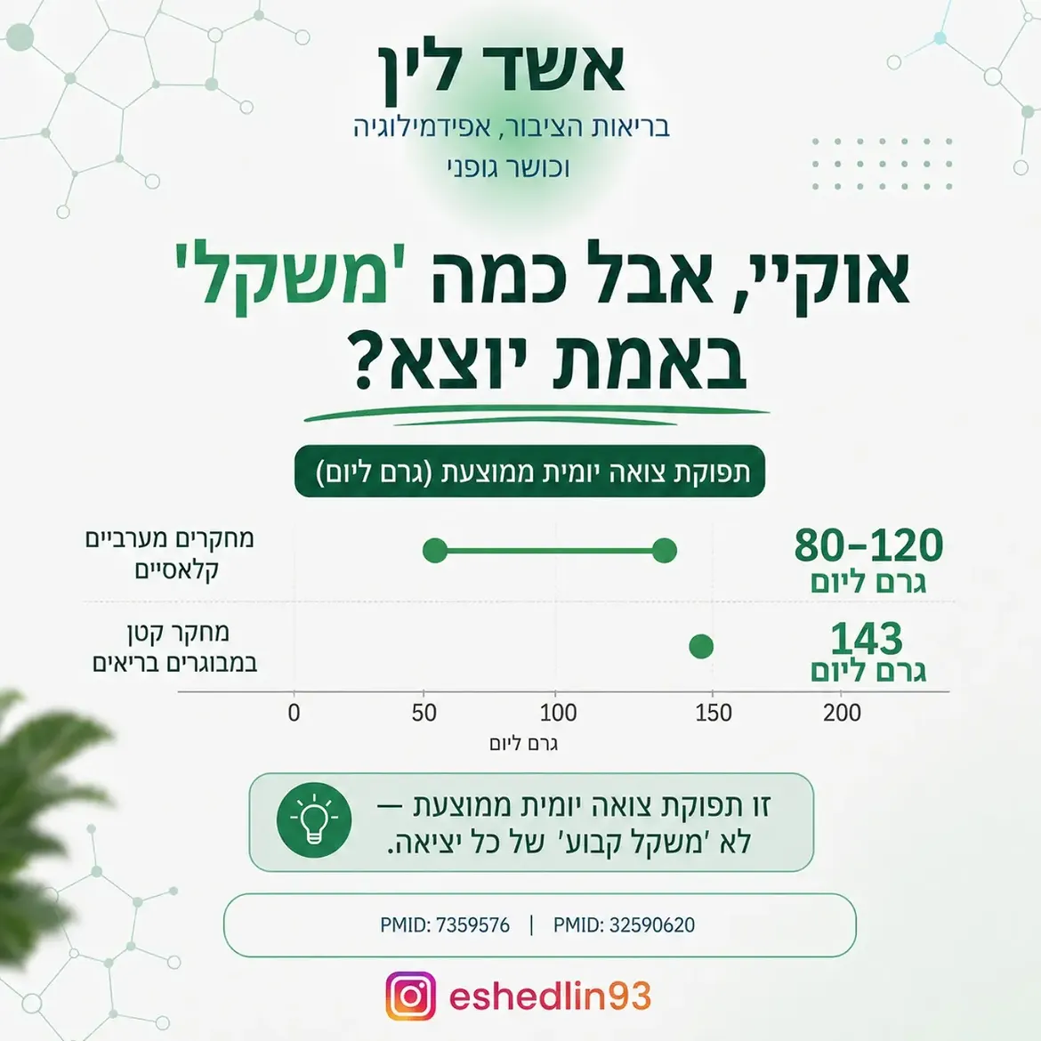 תמונה 6 מתוך 16
