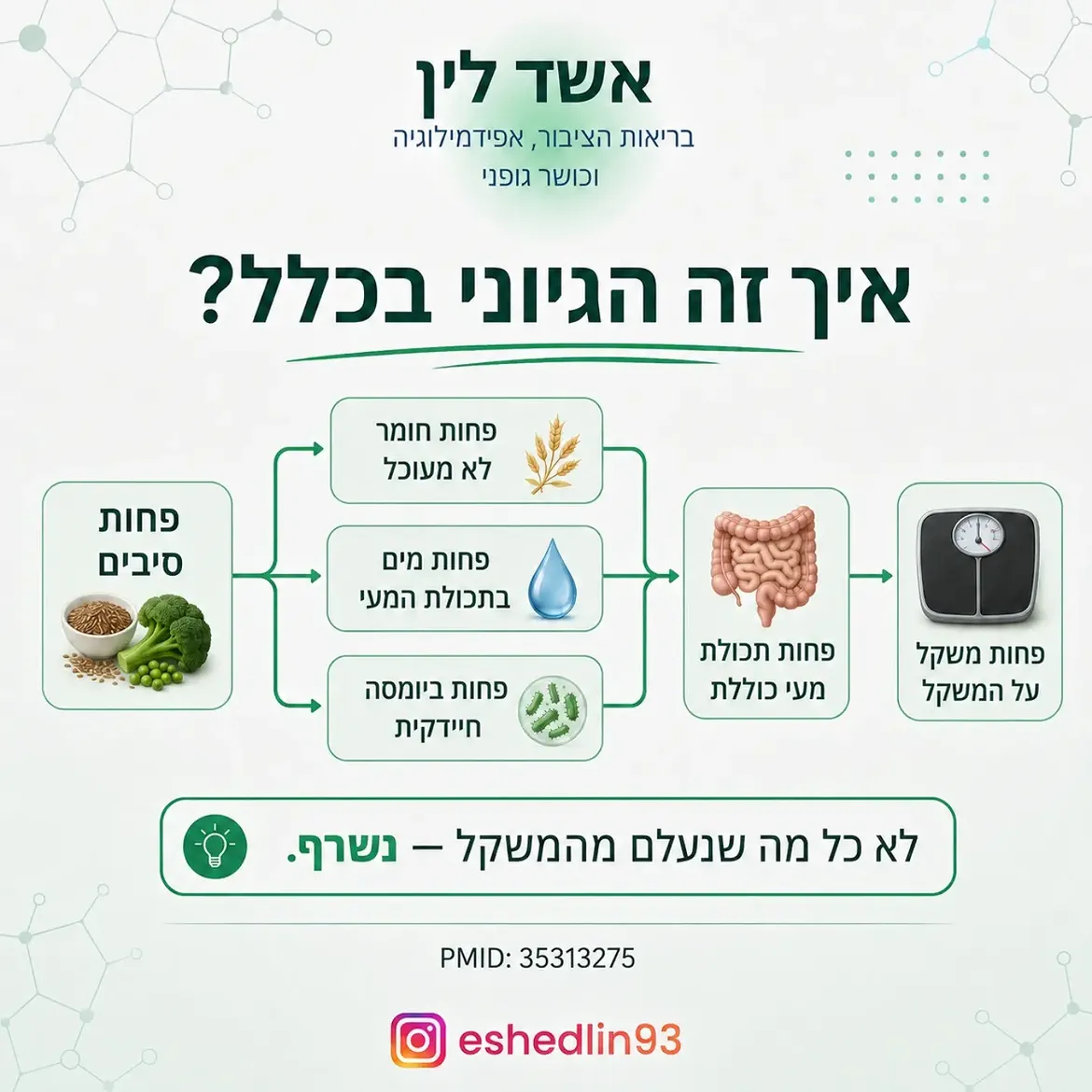 תמונה 7 מתוך 16