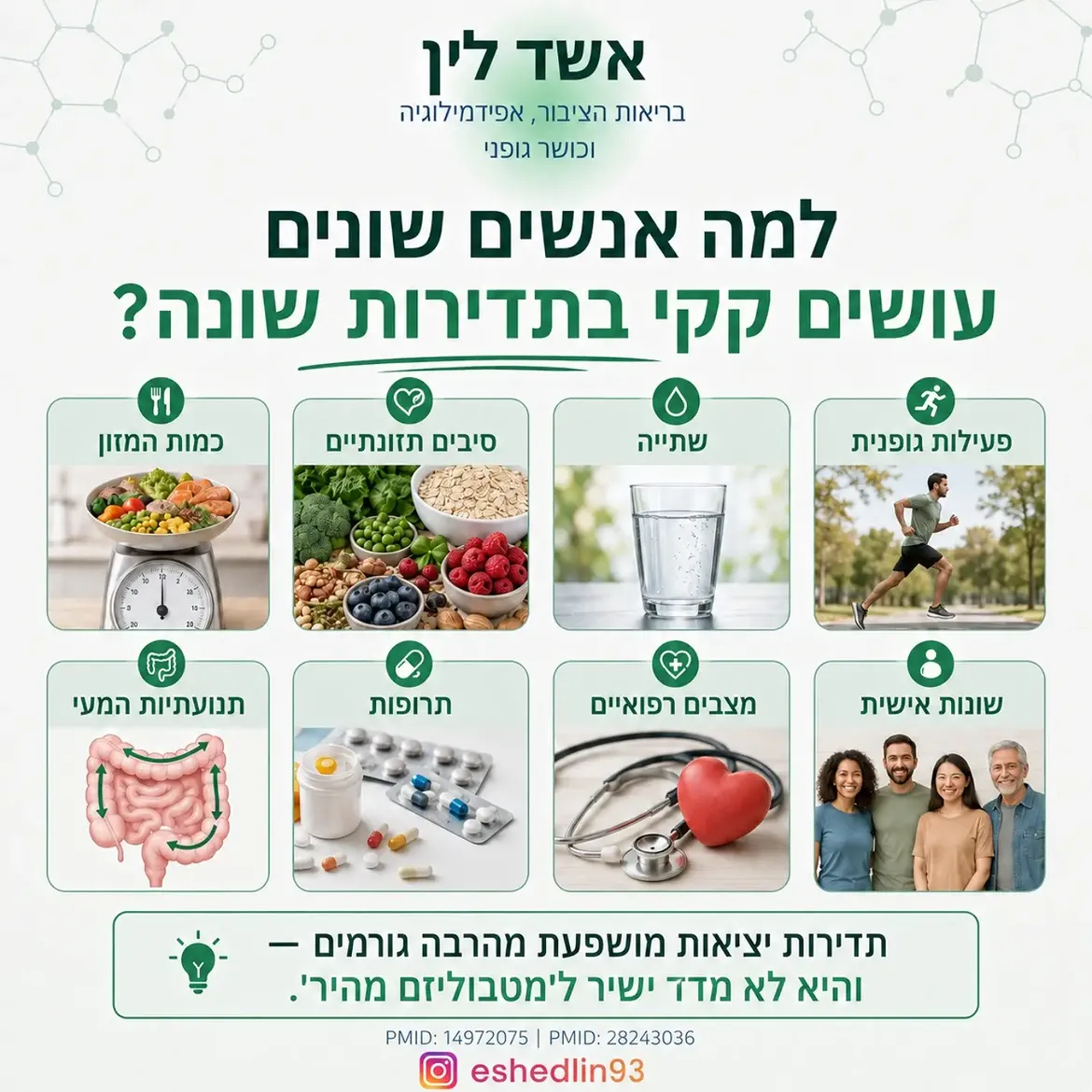 תמונה 10 מתוך 16