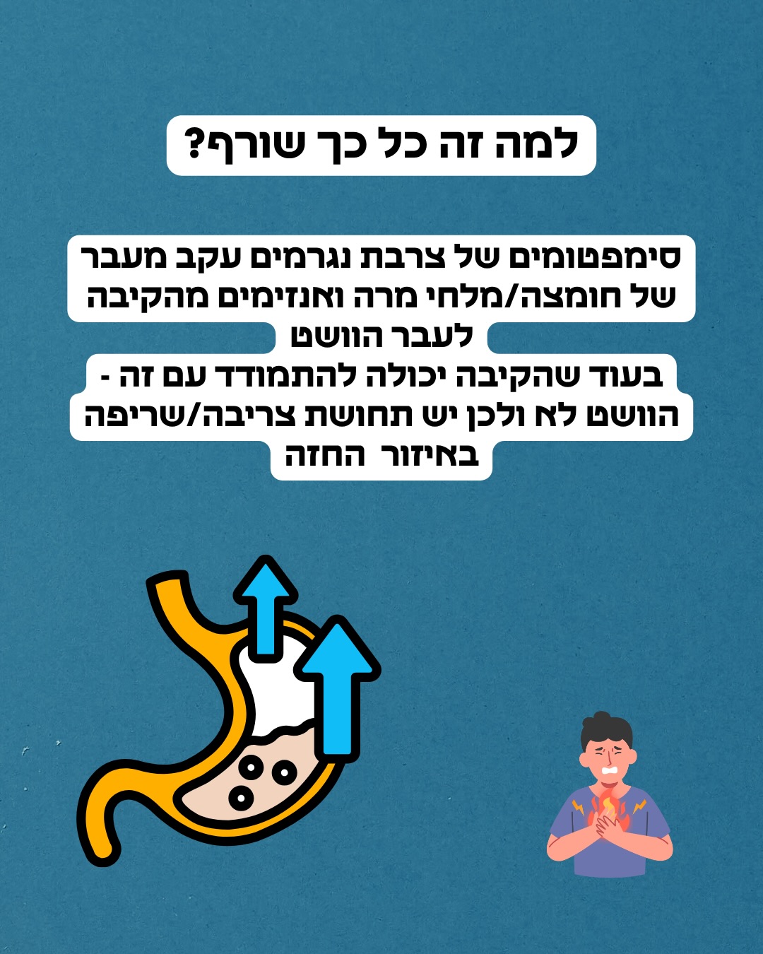 תמונה 3 מתוך 17