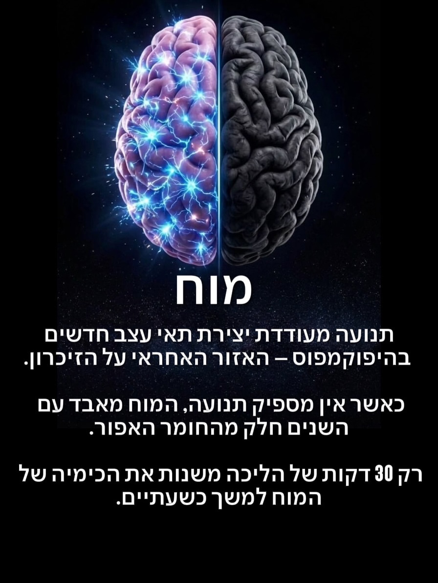 תמונה 3 מתוך 8