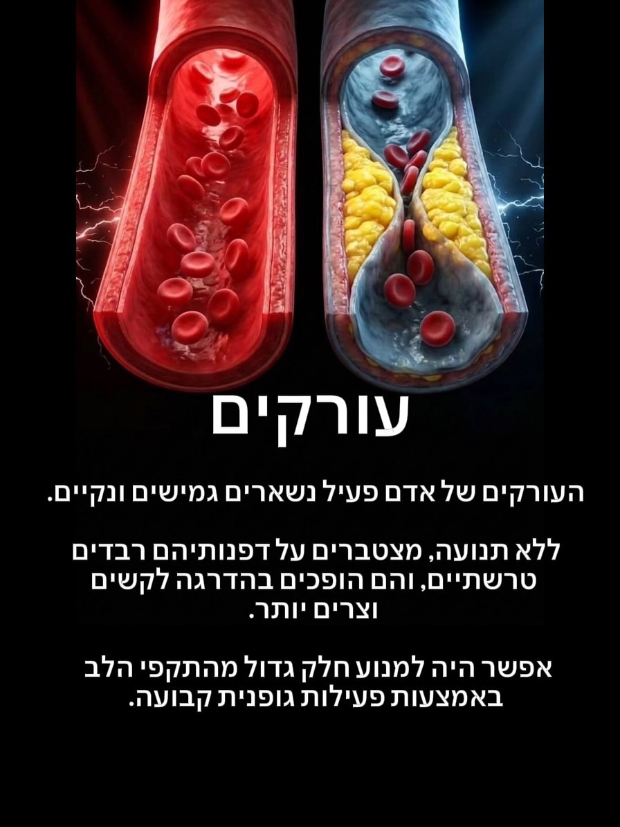 תמונה 4 מתוך 8