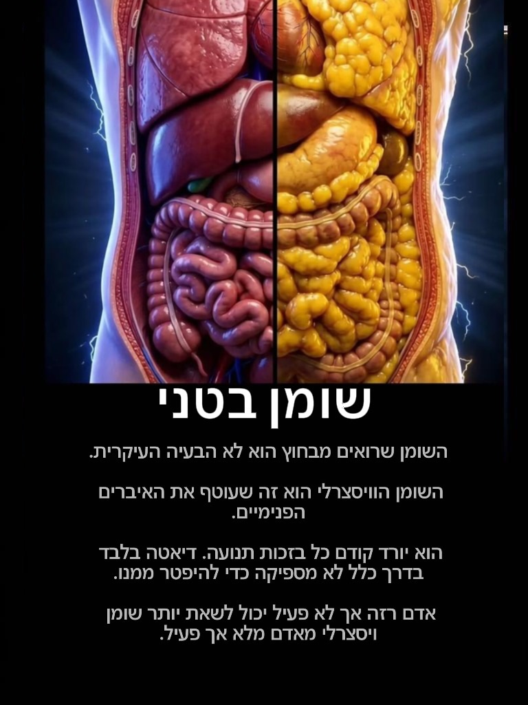 תמונה 5 מתוך 8