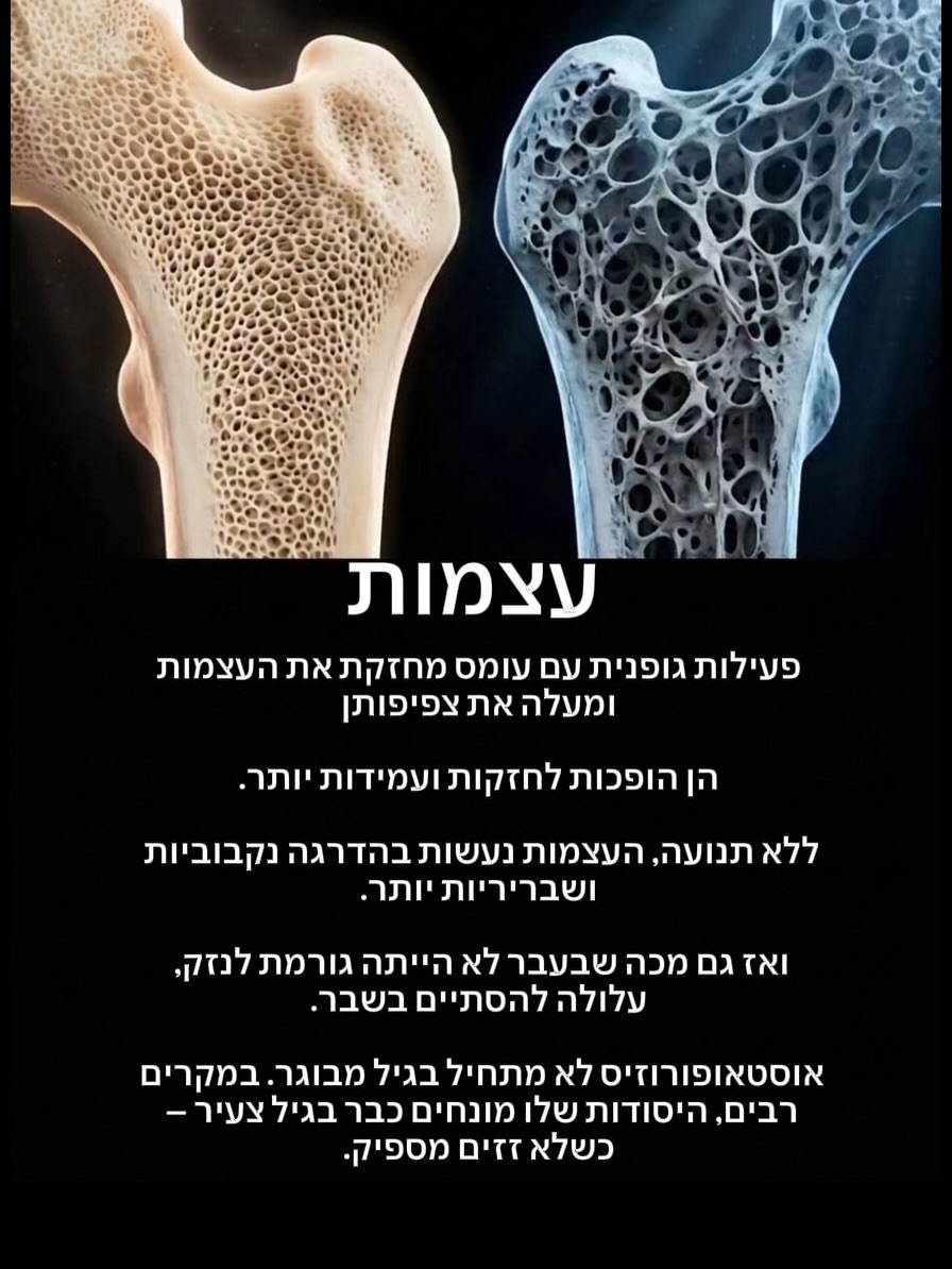 תמונה 6 מתוך 8