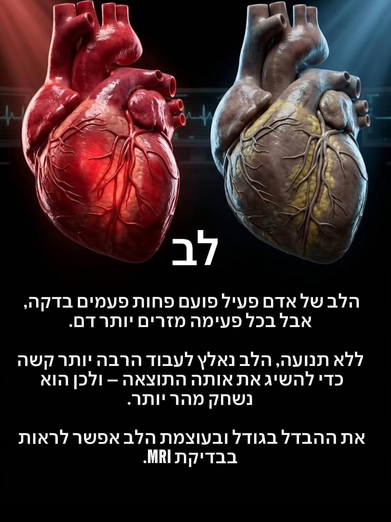 תמונה 7 מתוך 8