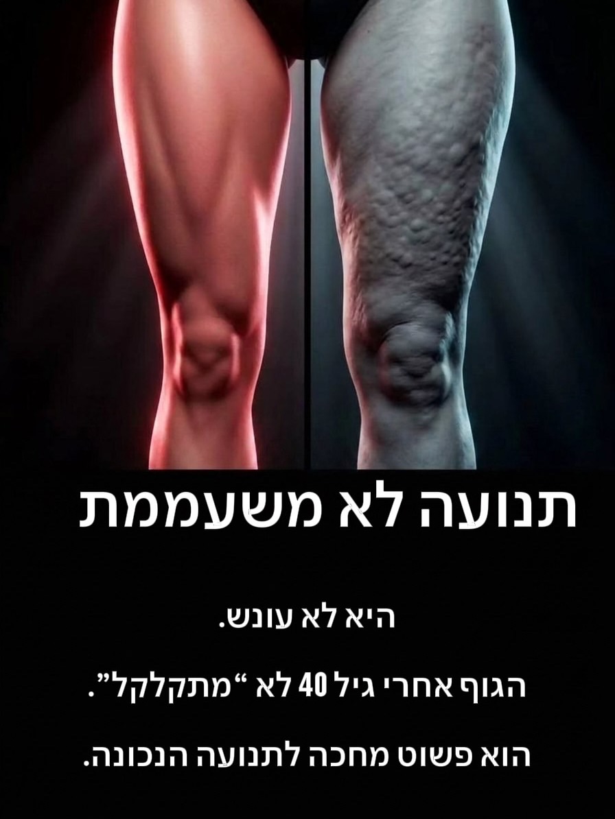 תמונה 8 מתוך 8