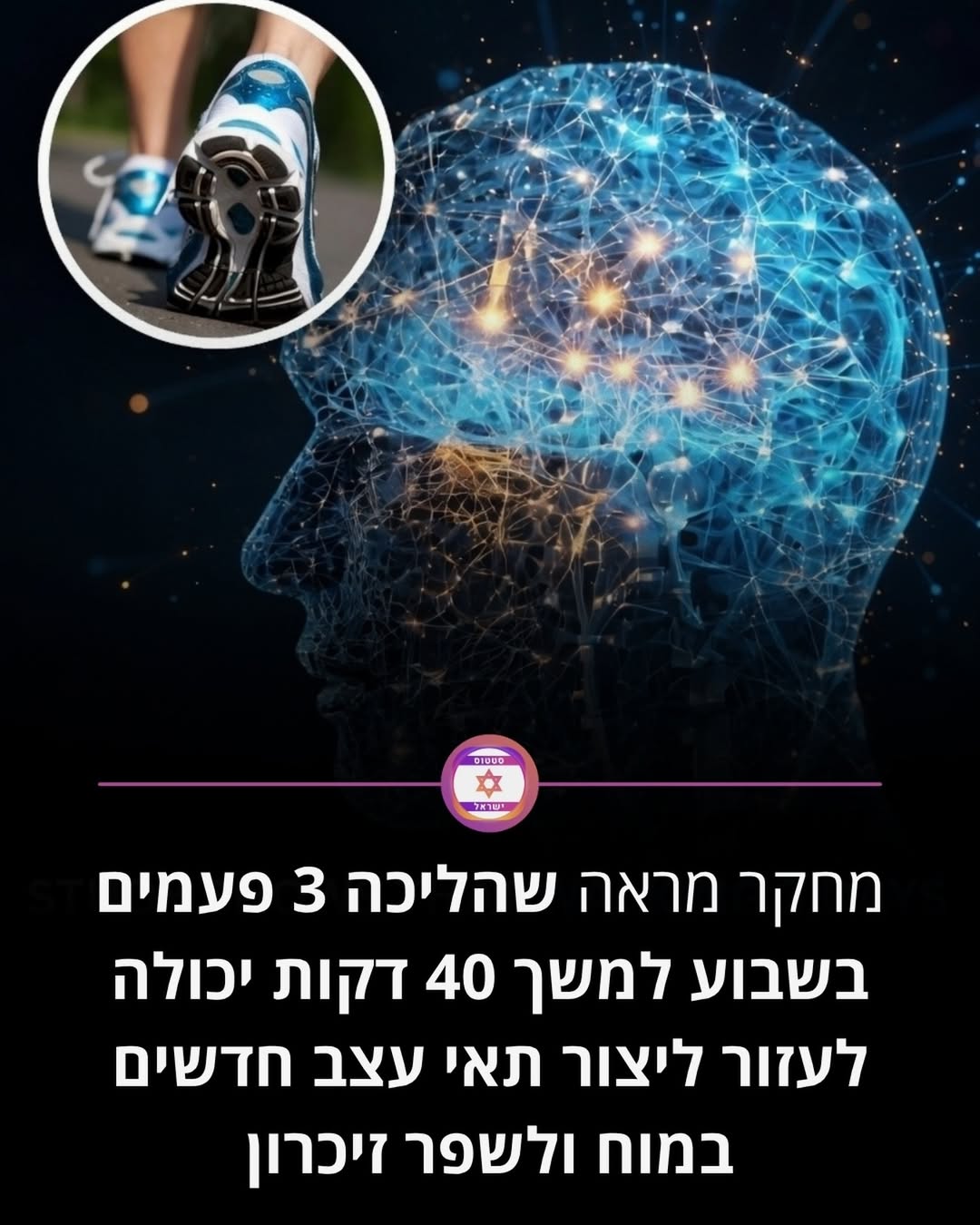 תמונה 1 מתוך 1