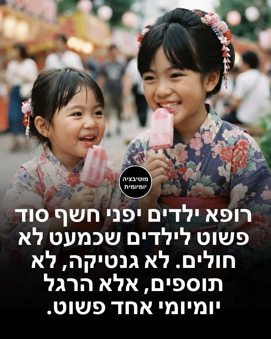 תמונה 1 מתוך 13