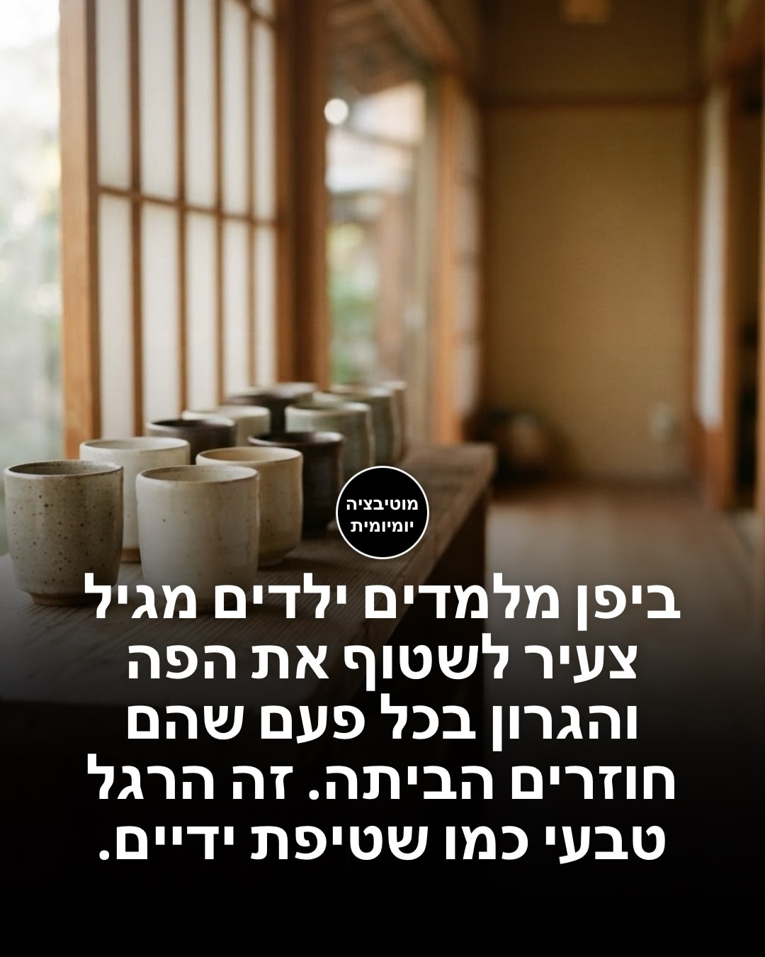 תמונה 3 מתוך 13