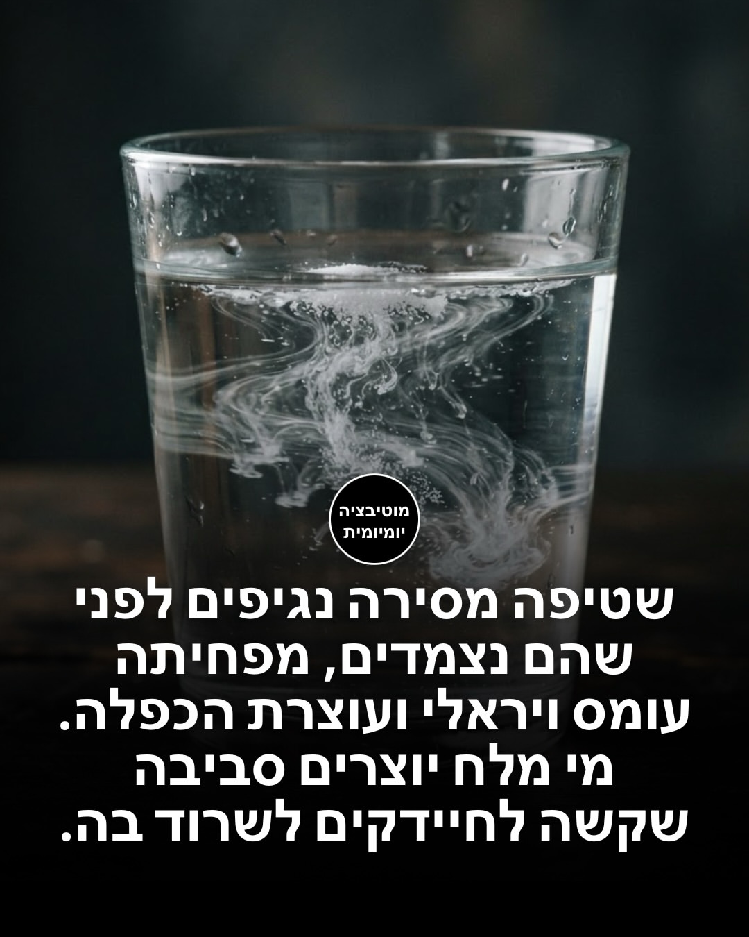 תמונה 5 מתוך 13