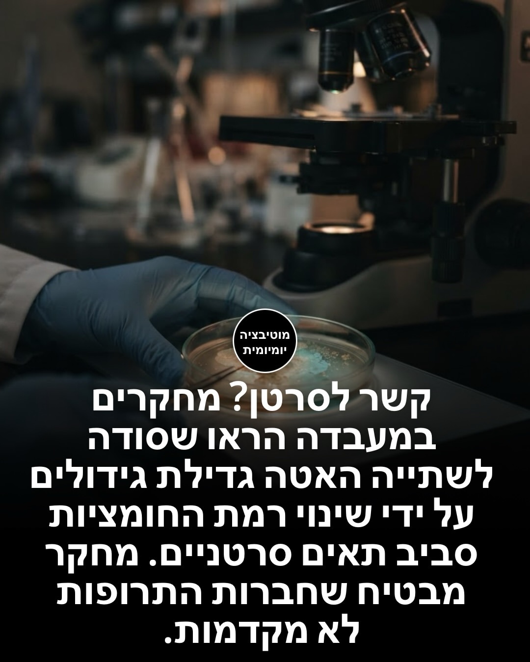 תמונה 11 מתוך 15