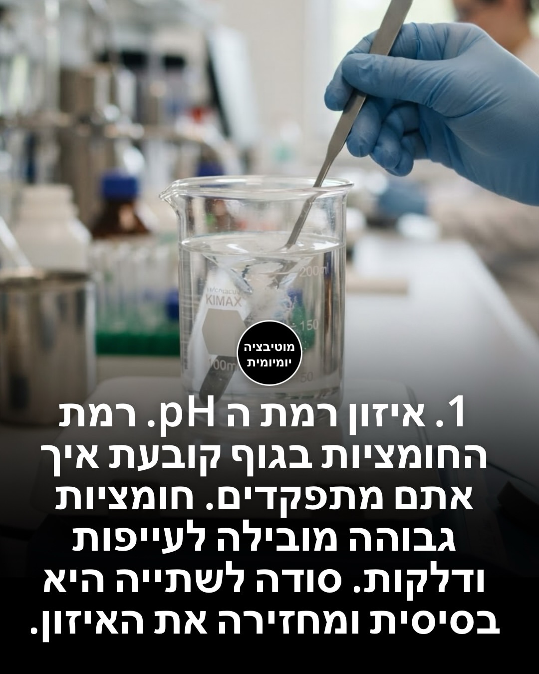תמונה 3 מתוך 15