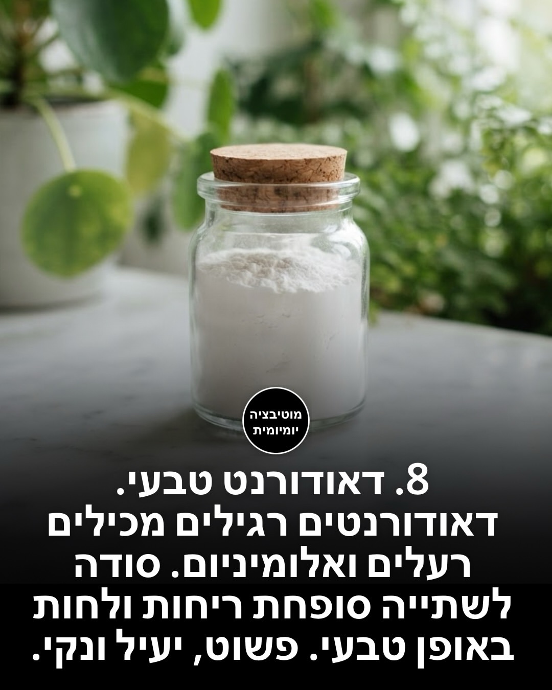 תמונה 10 מתוך 15