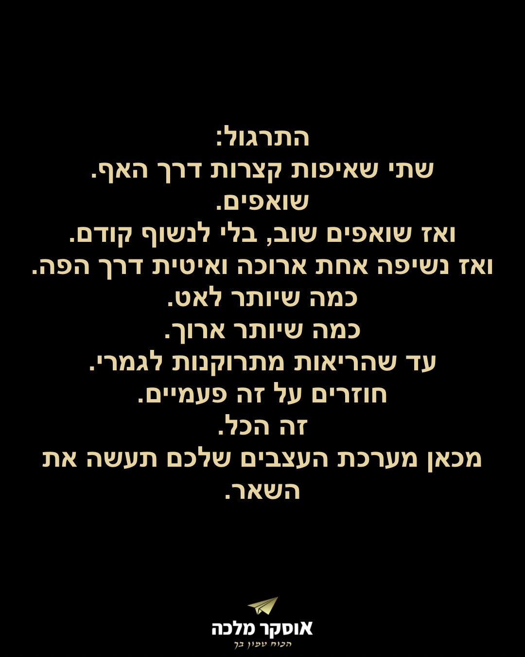 תמונה 13 מתוך 17