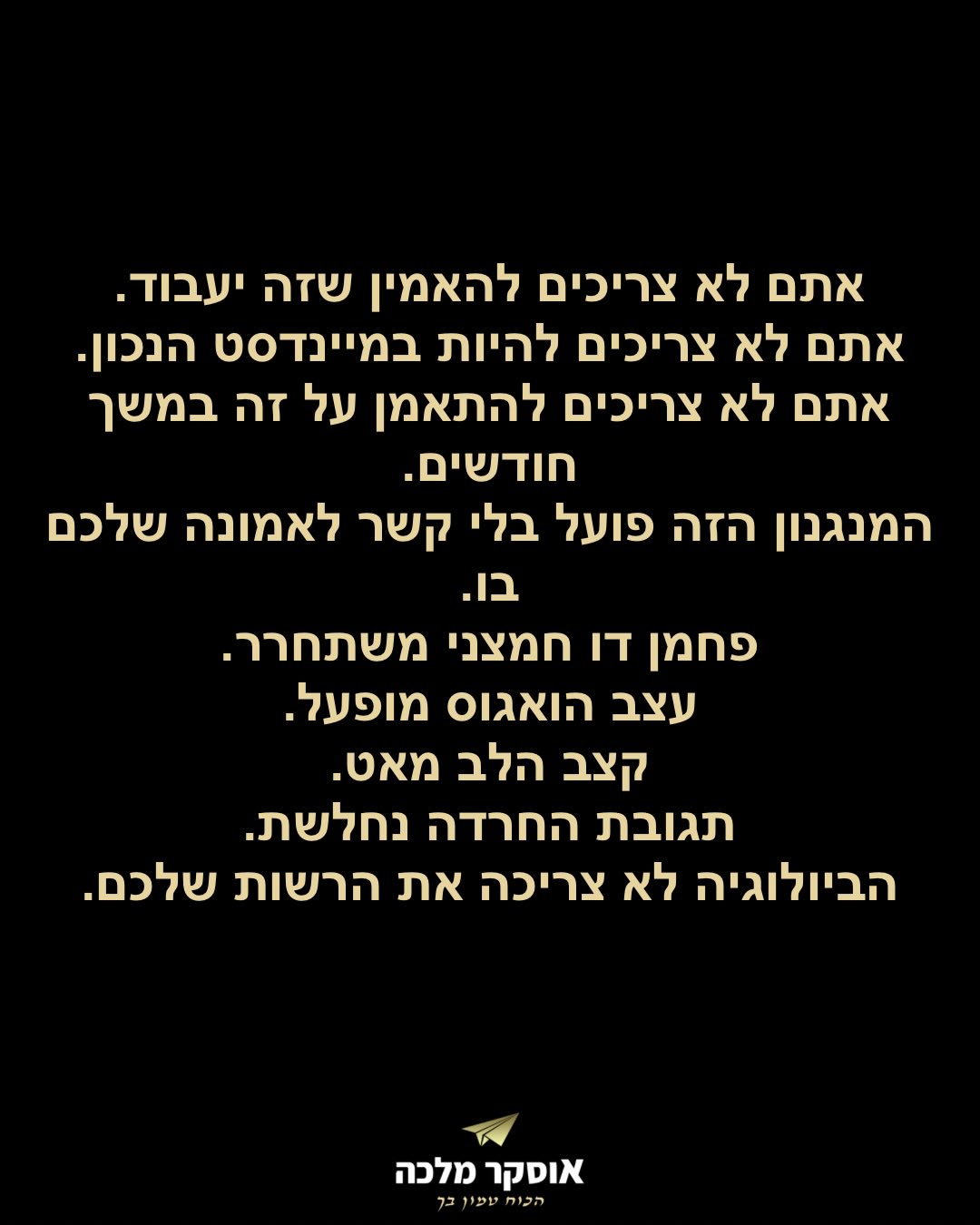 תמונה 14 מתוך 17
