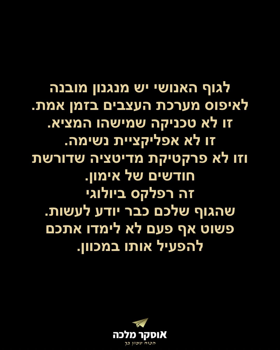 תמונה 3 מתוך 17