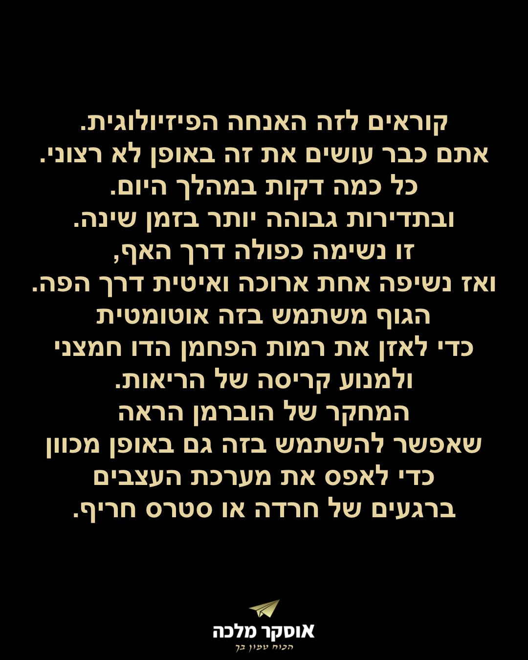 תמונה 4 מתוך 17