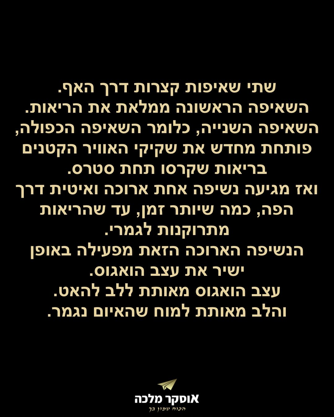 תמונה 6 מתוך 17