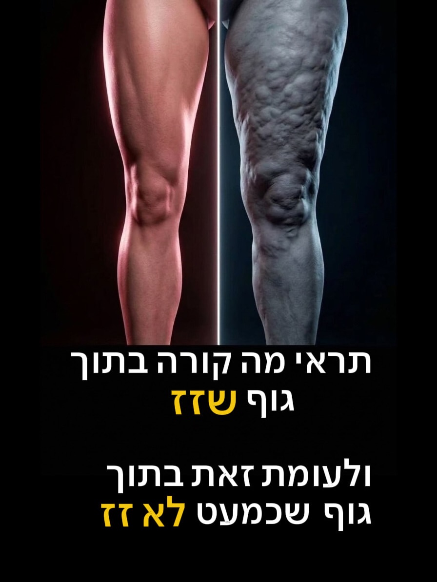 תמונה מקדימה