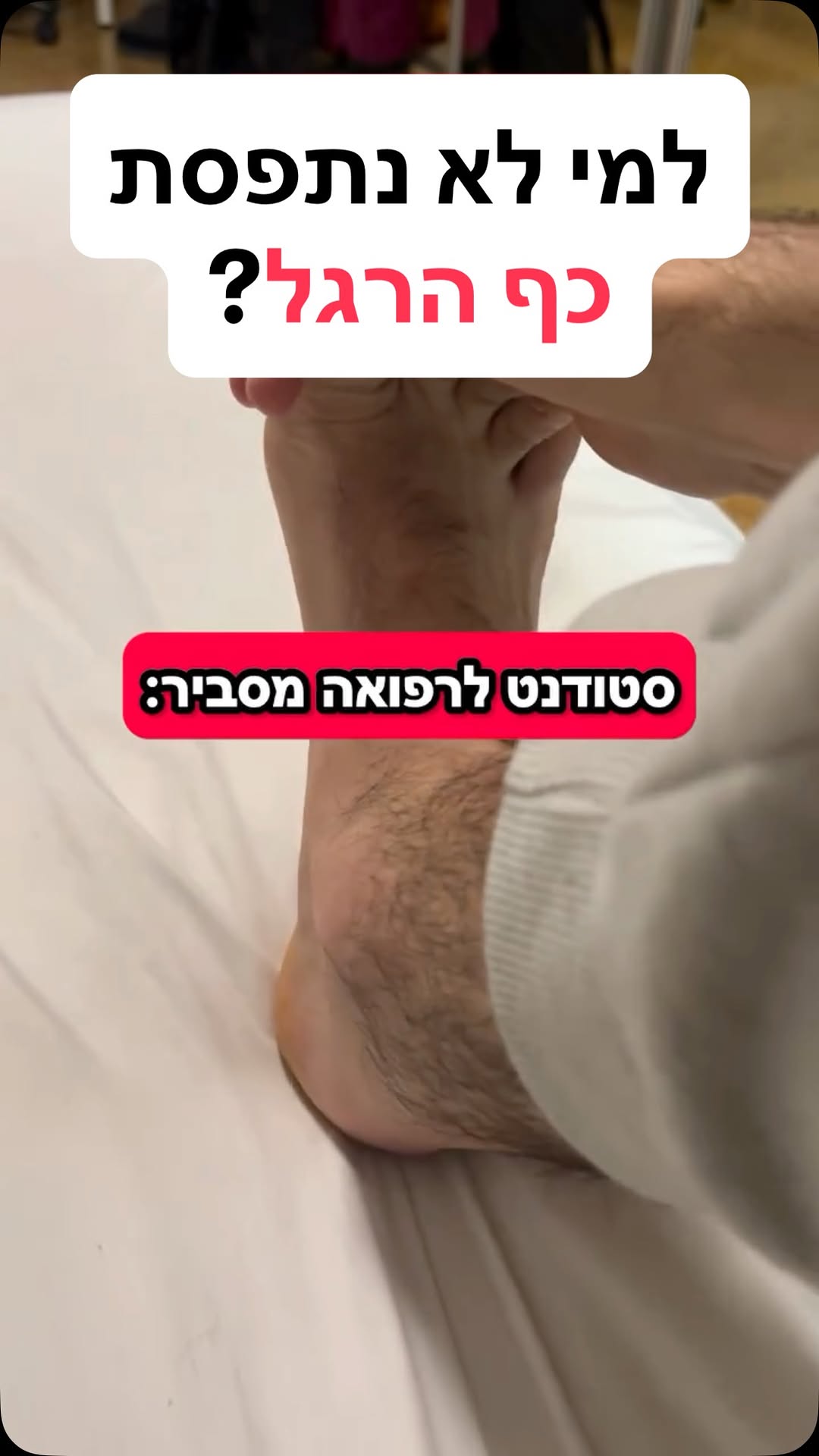 תמונה מקדימה